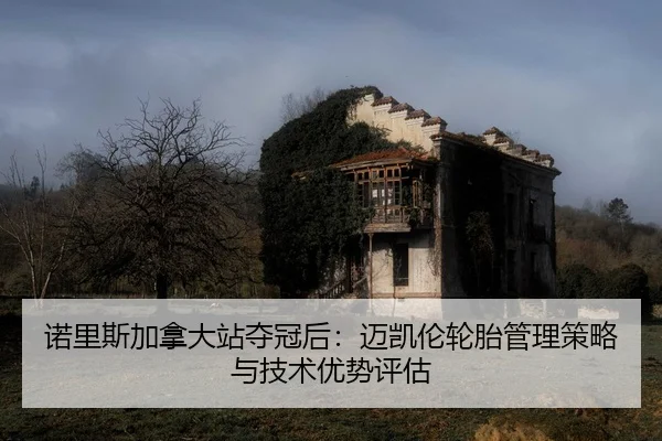 nuo-li-si-jia-na-da-zhan-duo-guan-hou-mai-kai-lun-lun-tai-guan-li-ce-lve-yu-ji-shu-you-shi-ping-gu-2-736.jpg